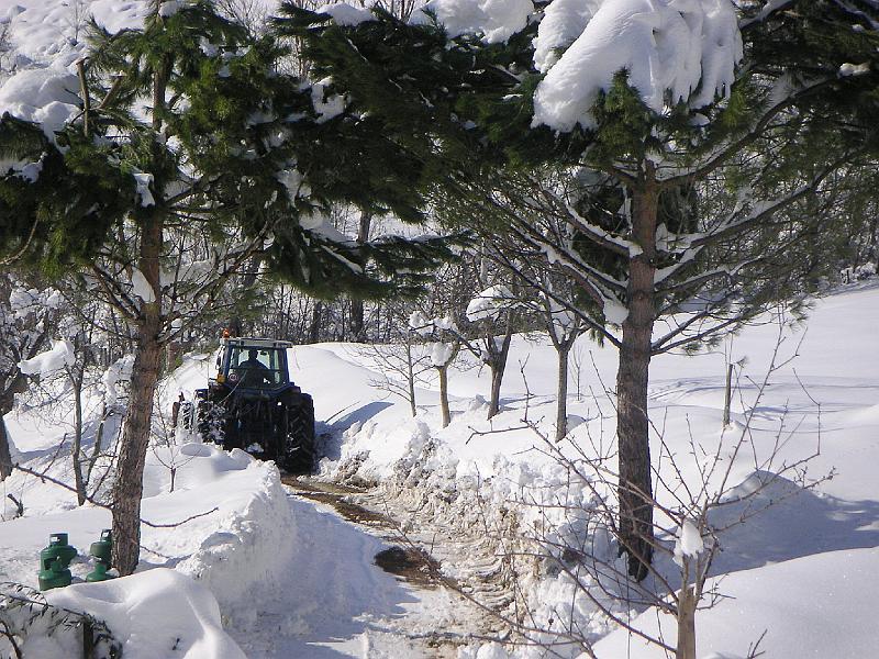 Winter - Clearing The Path